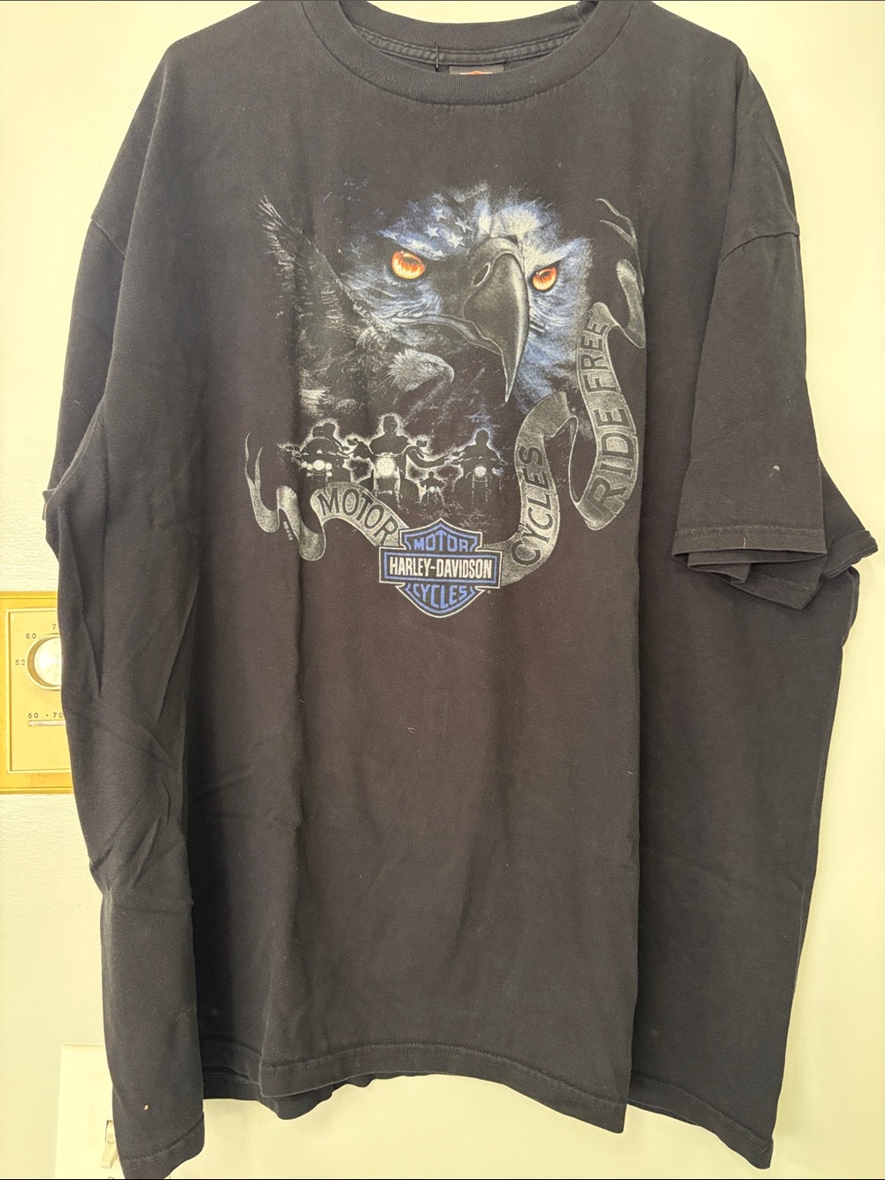 Harley-Davidson Black Long Sleeve Eagle & Riders Graphic Tee